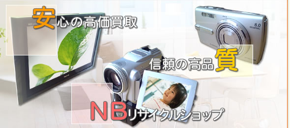 ���T�C�N�� �������� �����